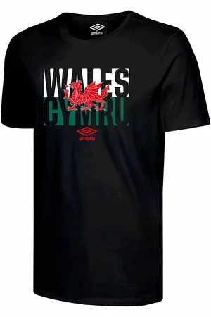 Umbro Wales Red Dragon Flag Mens T-shirt
