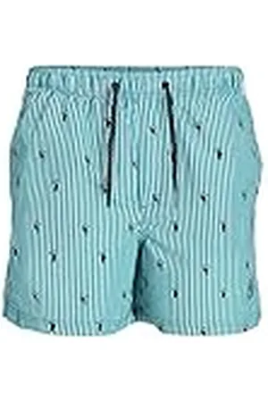 JACK & JONES Herr JPSTFIJI JJSWIM Mini Stripe badshorts, Deep Lake, S, , S