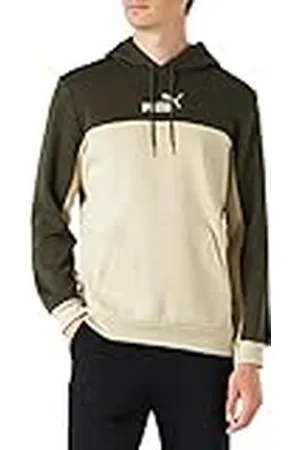 PUMA Herr Ess+ Block Hoodie Fl Sweat