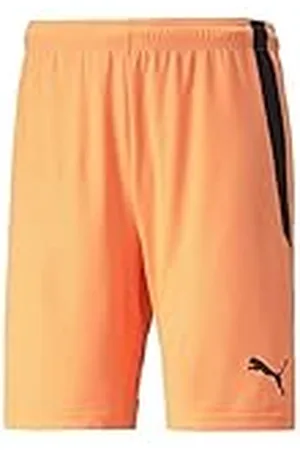 PUMA Herr Shorts Teamliga shorts, , L