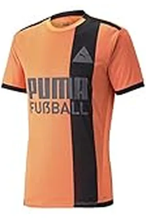 PUMA FUßBALL Park Jersey