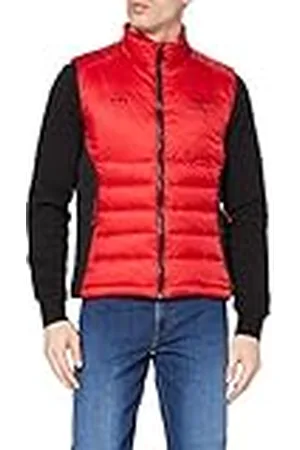 Hackett Amr Apex Moto Gilet Jacka för män, , XS