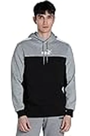 PUMA Herr Ess+ Block Hoodie Fl Sweat