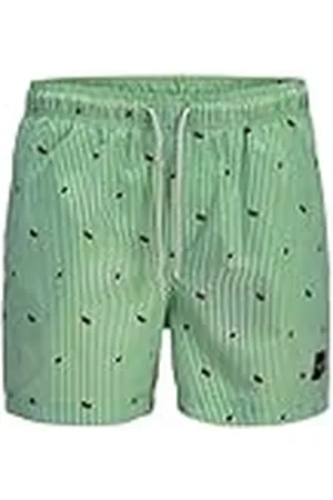 JACK & JONES Jpstmaui Jjswim Mini Stripe AKM Sn, , S