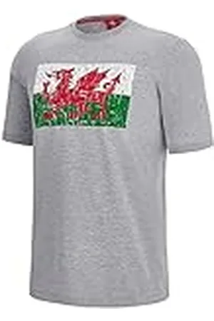 macron Welsh Rugby logo grafisk t-shirt, flaggtryck, , herr, , M