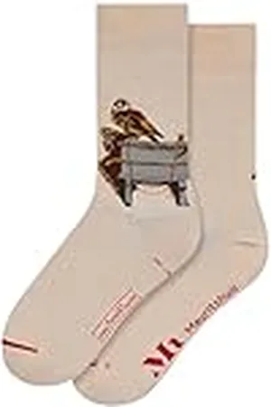 MuseARTa Strumpor av bomull med målningen The Goldfinch av konstnären Carel Fabritius i storlek 40–46, CF-TGL-06-40-46, , 40-46