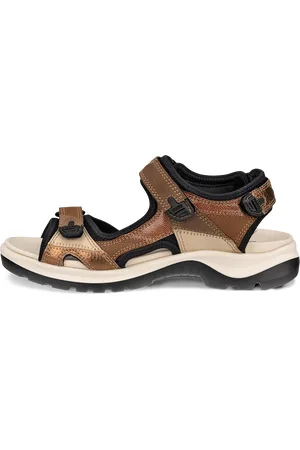 Ecco Offroad