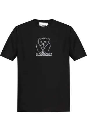 Iceberg T