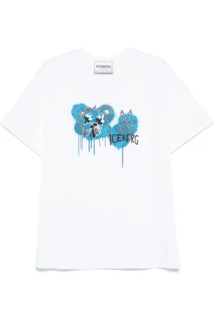 Iceberg T
