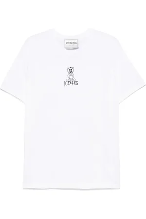 Iceberg T