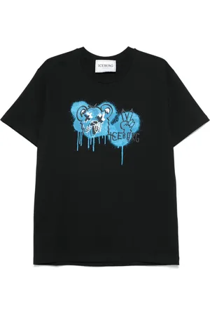 Iceberg T