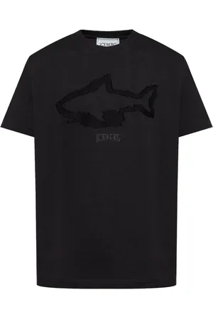 Iceberg T