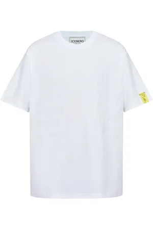 Iceberg T