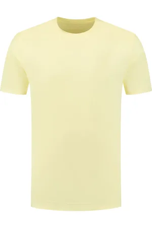 FEDELI T