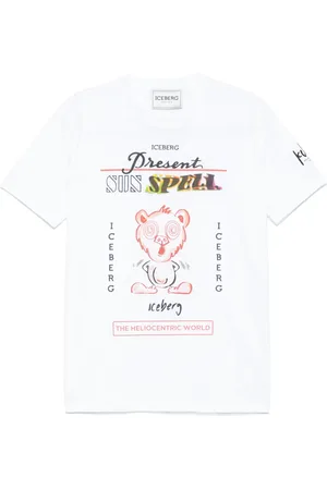 Iceberg T
