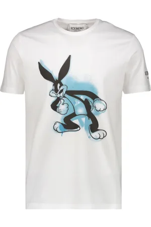 Iceberg T