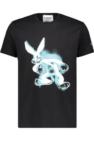 Iceberg T