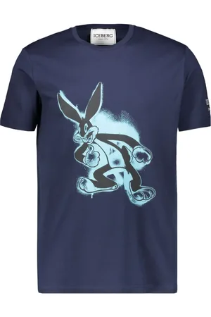Iceberg T
