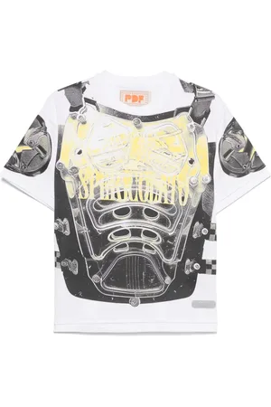 PDF Shield t