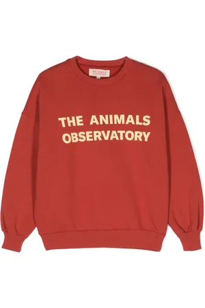 The Animals Observatory Leo tröja med tryck
