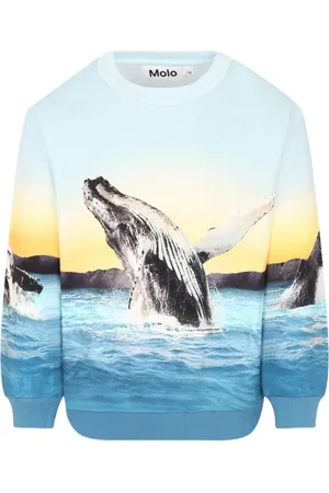 Molo Sweatshirt med valtryck