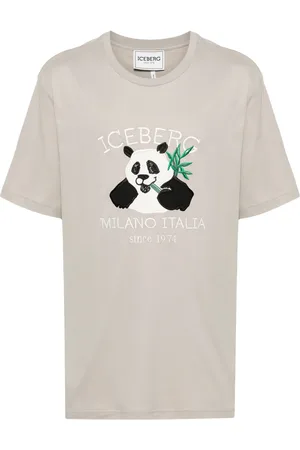 Iceberg T