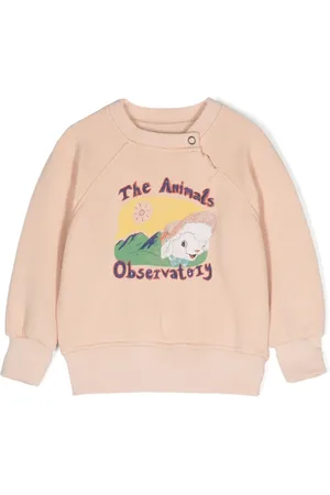 The Animals Observatory Jackal sweatshirt med grafiskt tryck
