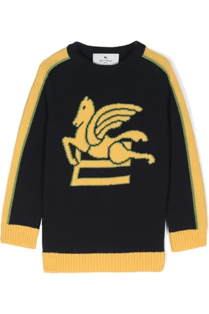 Etro Pegaso intarsiastickad tröja