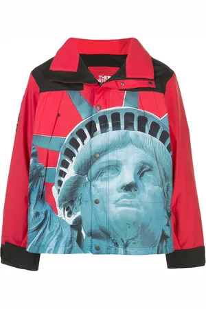 Supreme X The North Face Mountain jacka