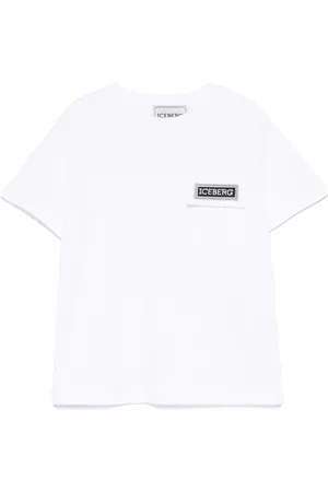 Iceberg T
