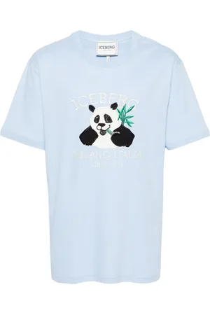 Iceberg T