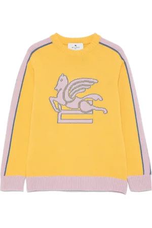 Etro Pegaso intarsiastickad tröja