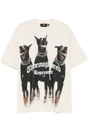 Represent Thoroughbred t