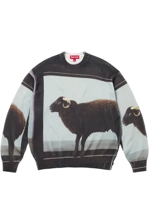 Supreme X Damien Hirst intarsiastickad tröja
