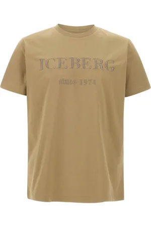 Iceberg T