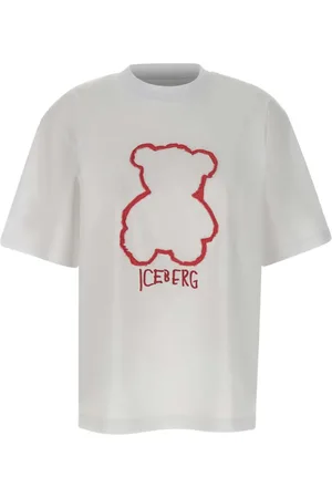Iceberg T