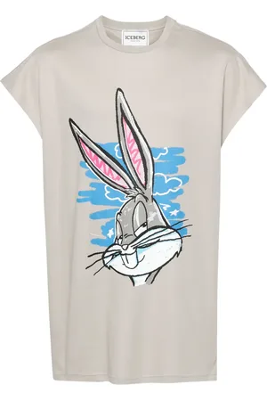 Iceberg T