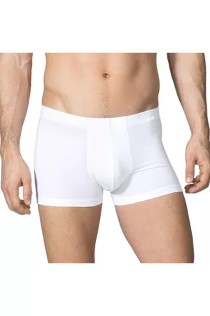 26165 Calida Boxer from the Focus series with covered waistband